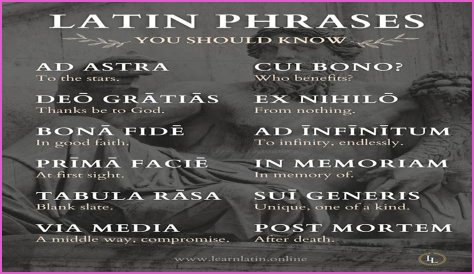 A Profile Of A Latin Beauty