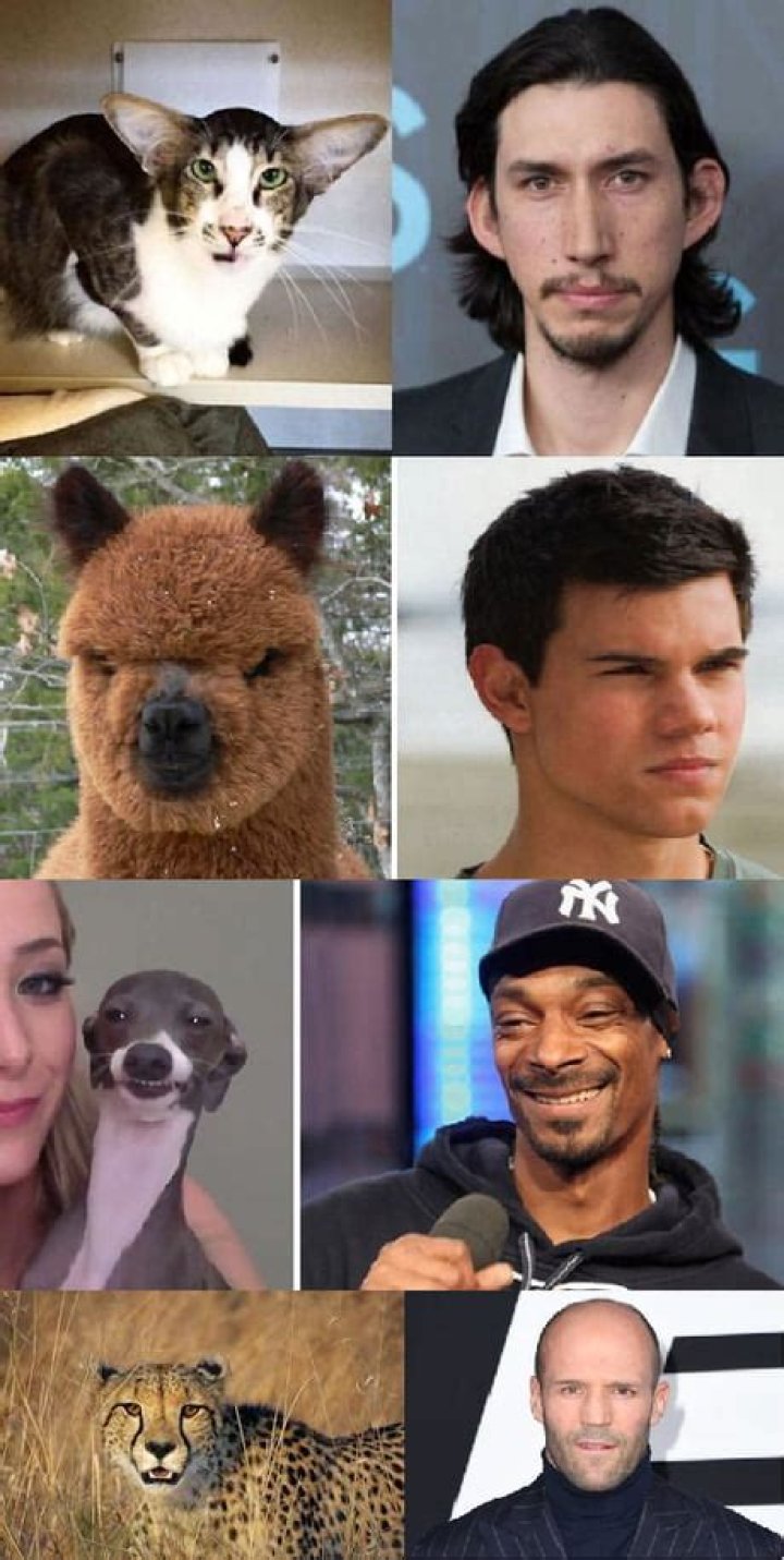 10 Celebrities You Can’t Deny Look Like Animals