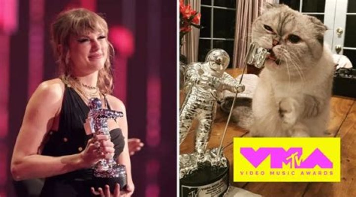 2023 MTV VMA Winners: Meet Their Celebrity Pets!