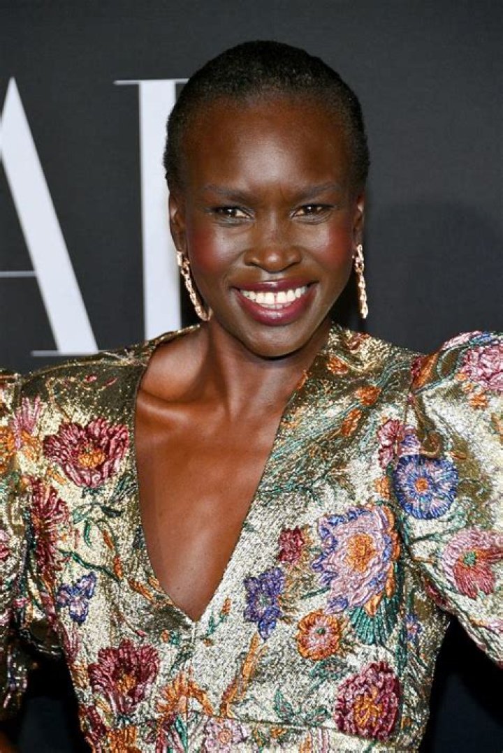 Alek Wek Net Worth - Wiki, Age, Weight and Height, Relationships, Family, and More