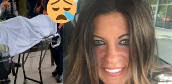 Amy Habib Obituary Pittsburgh PA: MOM CEO Car Accident Death