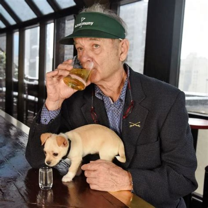Bill Murray Pets - Celebrity Pets