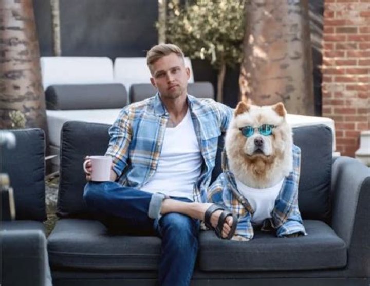 Carter Cunard is one chic chow chow