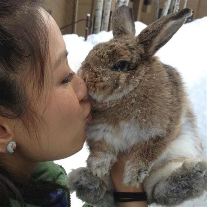 Constance Wu Pets - Celebrity Pets