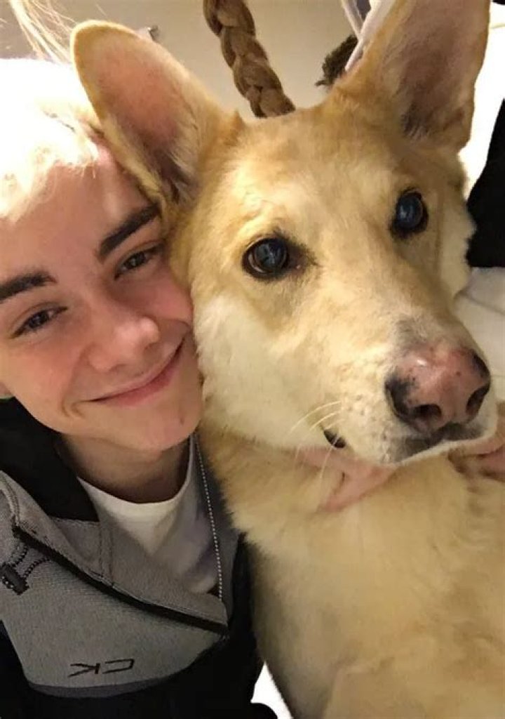 Corbyn Besson Pets - Celebrity Pets