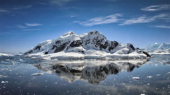 Elephant Island Cruise: Best Cruises to Elephant Island