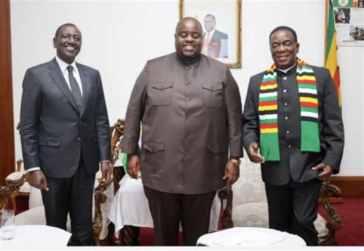 Emmerson Mnangagwa Net Worth - Wiki, Age, Weight and Height, Relationships, Family, and More