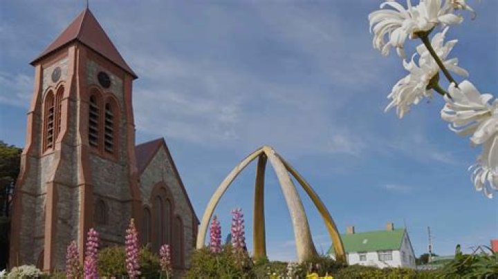 Falkland Islands Cruise: Best Cruises to Falkland Islands