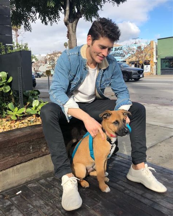 Gregg Sulkin Pets - Celebrity Pets