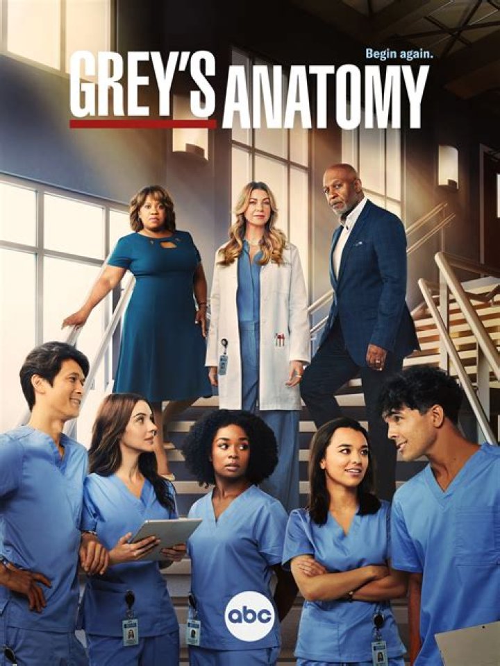 Grey's Anatomy season 19 is not coming to Netflix in February 2023