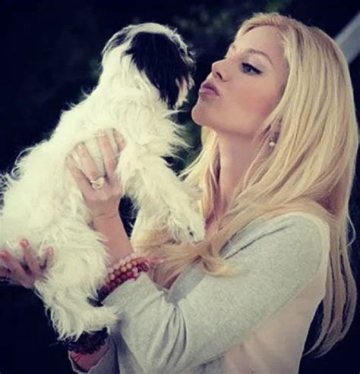 Heidi Montag Pets - Celebrity Pets
