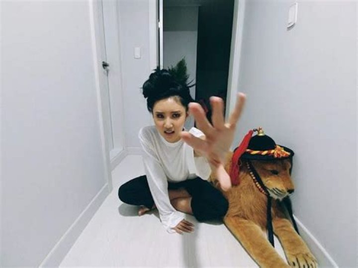 Hwasa Pets - Celebrity Pets