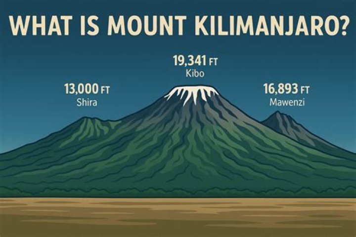 Introduction to Dotan Hass - Bio and Other Facts About Shira Haas' Sister