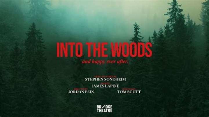 Is Into the Woods available for streaming on Netflix?
