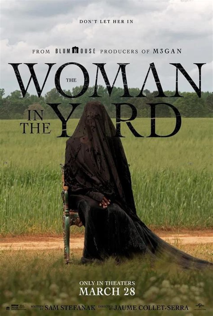 Is The Woman Across the Lake a real book?