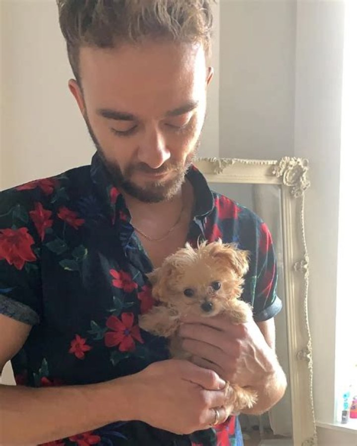 Jack P. Shepherd Pets - Celebrity Pets