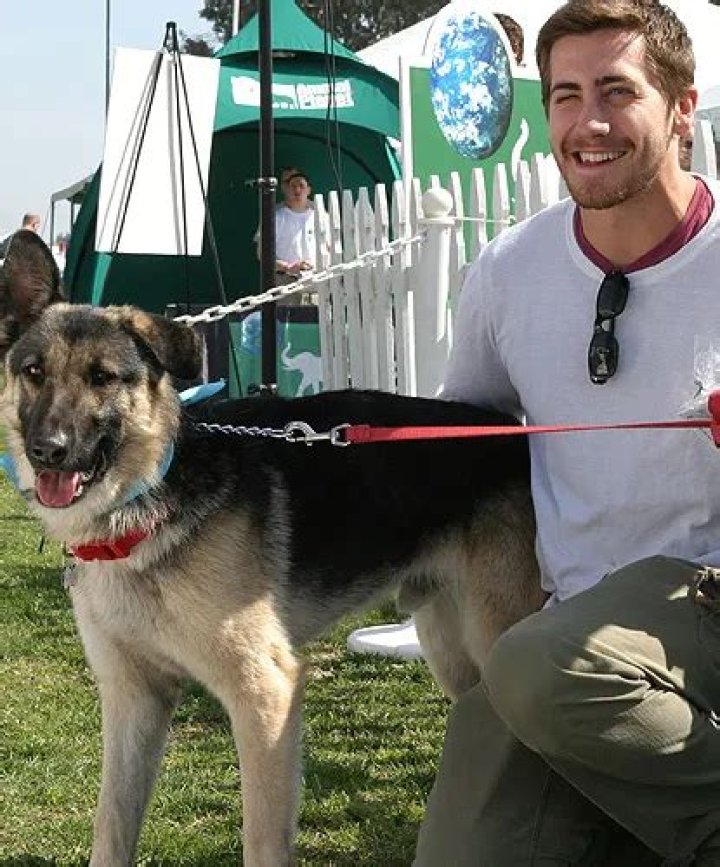 Jake Gyllenhaal Pets - Celebrity Pets