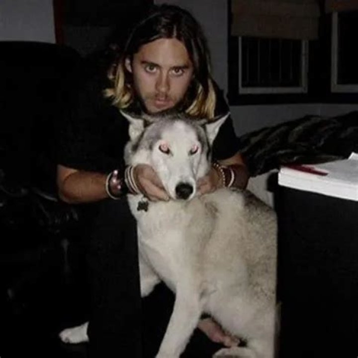 Jared Leto Pets - Celebrity Pets