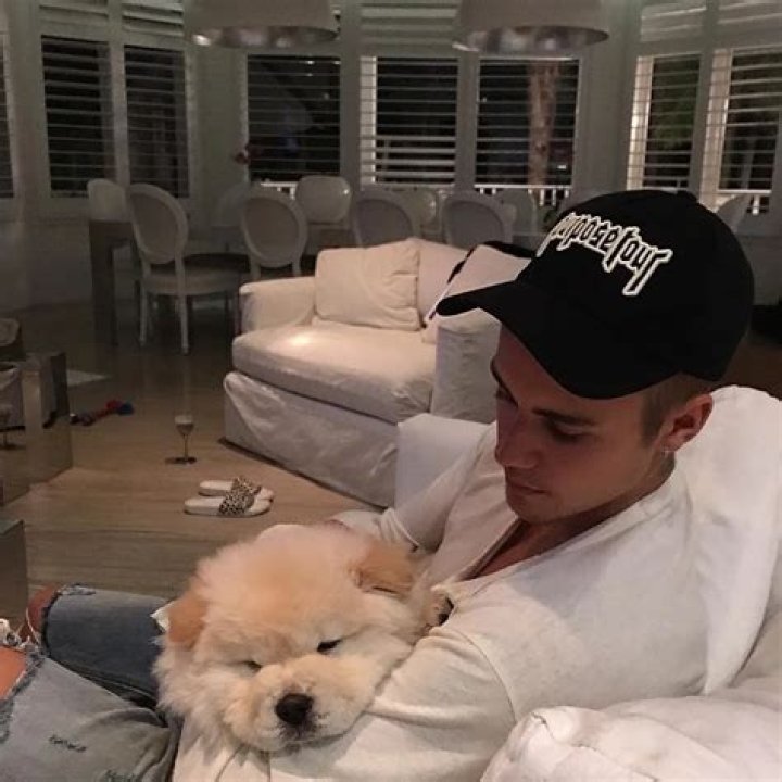 Justin Bieber Pets - Celebrity Pets