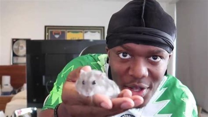 KSI Pets - Celebrity Pets