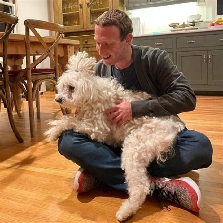 Mark Zuckerberg Pets - Celebrity Pets