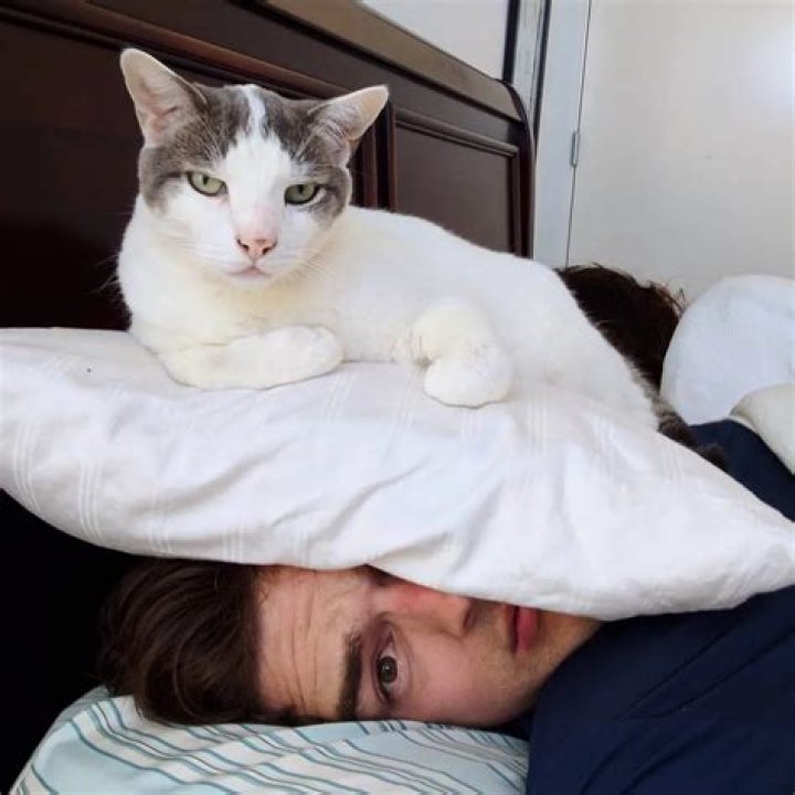 MatPat Pets - Celebrity Pets