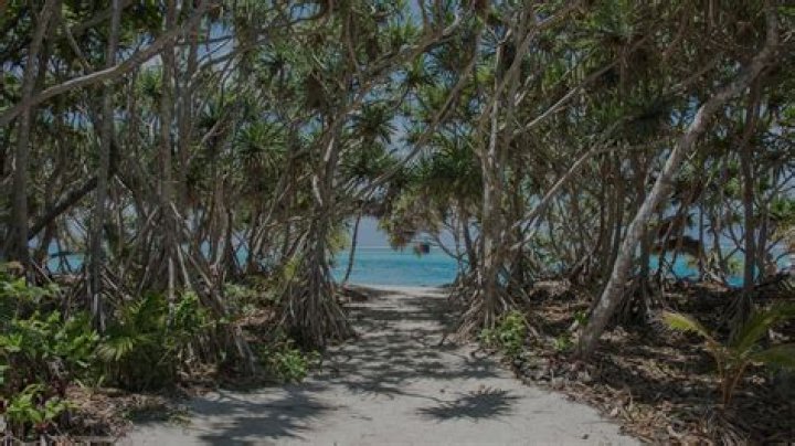 Mystery Island Shore Excursions & Cruise Excursions