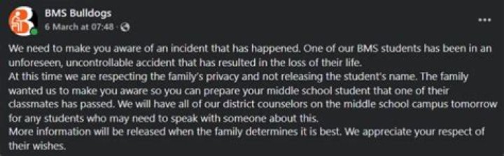 Obituary, Caston Twilligear Accident Details Death Cause and Bio
