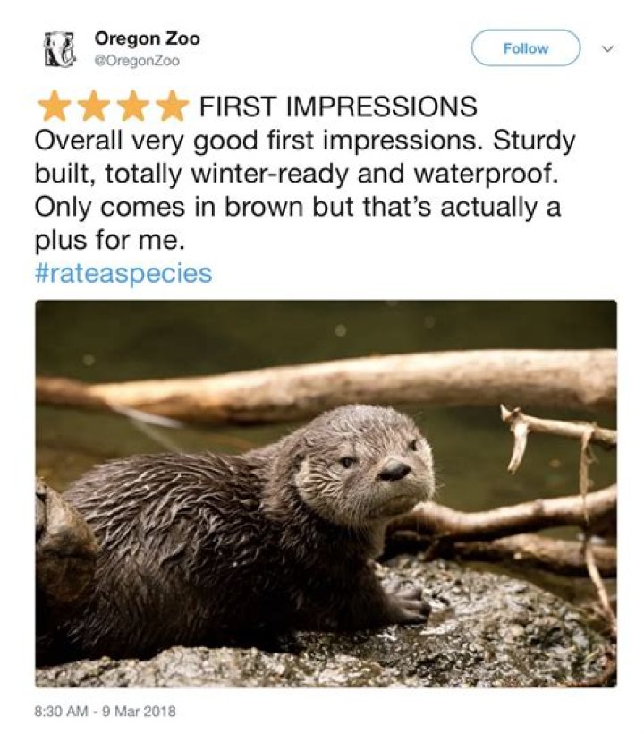 #rateaspecies trending hashtag has got us in tears