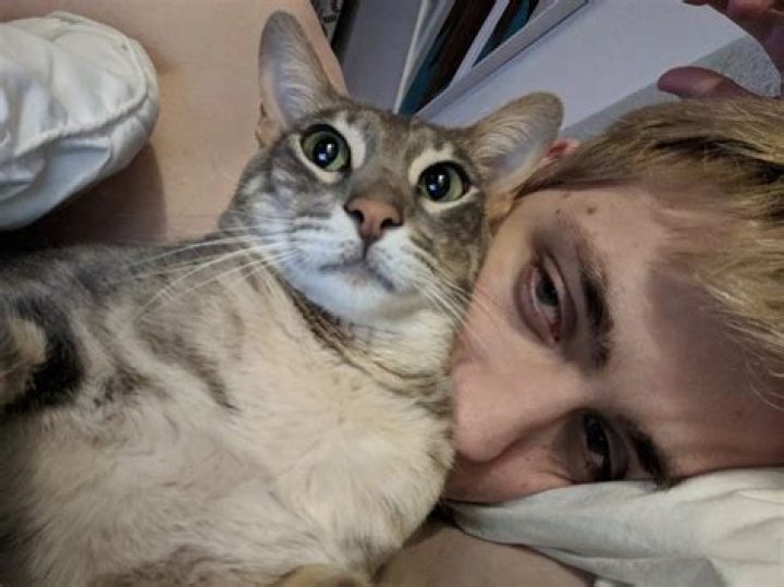 Sodapoppin Pets - Celebrity Pets