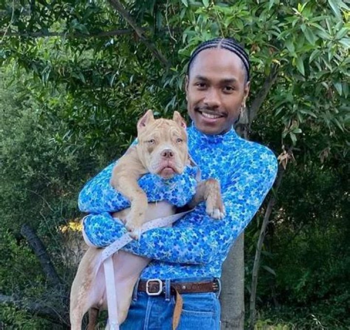 Steve Lacy Pets - Celebrity Pets