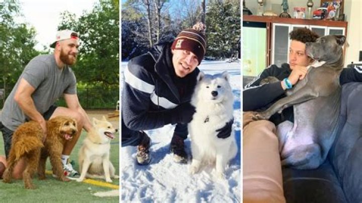 Super Bowl LVIII: Meet the Dogs of the Kansas City Chiefs and San Francisco 49ers