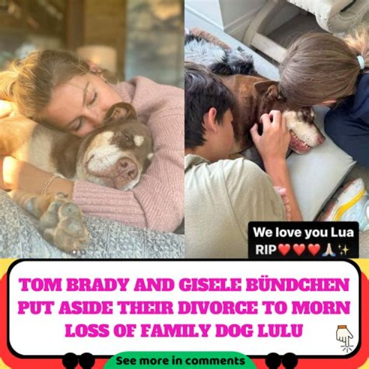 Tom Brady and Gisele Bündchen Put Aside Their Divorce to Morn Loss of Family Dog Lulu