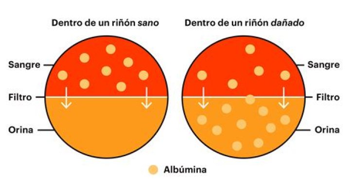 Video Filtrado De La Oruga Viral: Scandal And Controversy