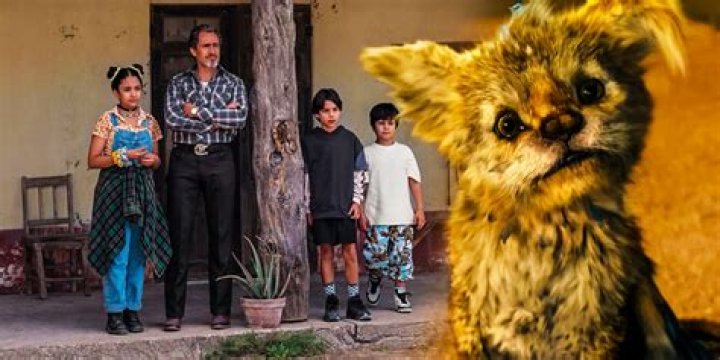 Who stars in the Netflix movie?