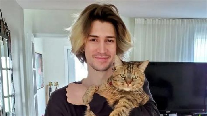 xQc (Félix Lengyel) Pets - Celebrity Pets